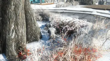 BOS Uniform snow test 3