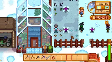 Growing in winter...
